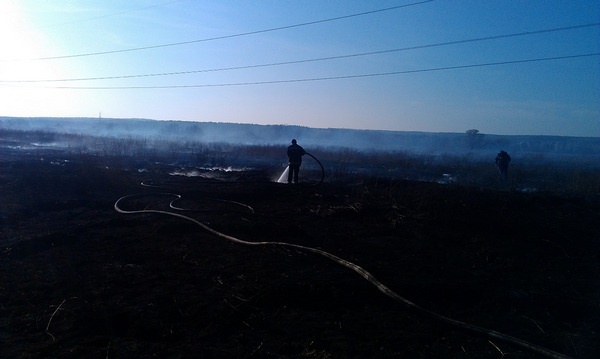 Площадь торфяных пожаров Киевщины уменьшилась до 45,8 га