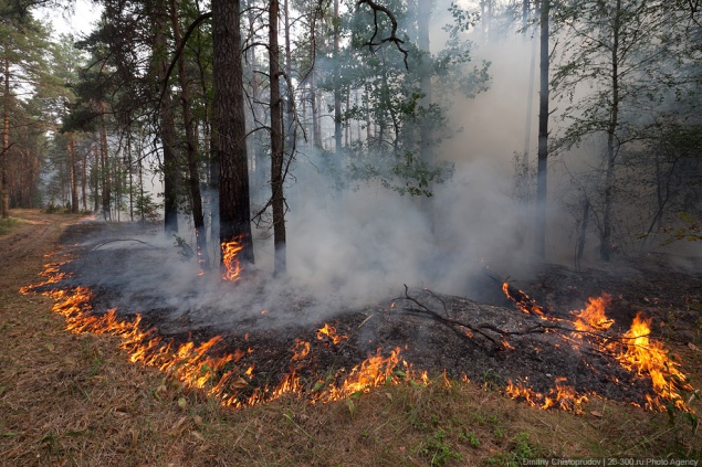 За ночь в лесах Киева произошло три пожара
