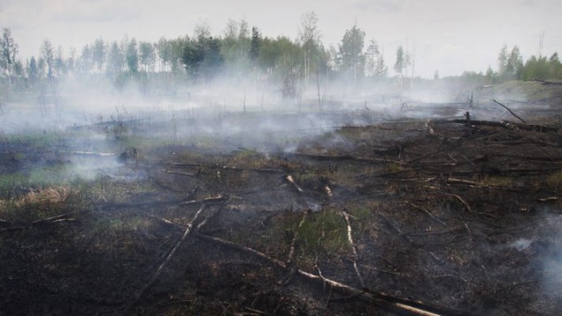 На Киевщине продолжает гореть 102 га торфяников (список)