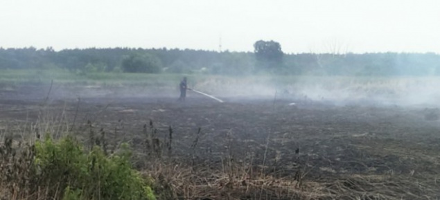 Ситуация с горящими торфяниками Киевщины не улучшается - тлеет 107 га