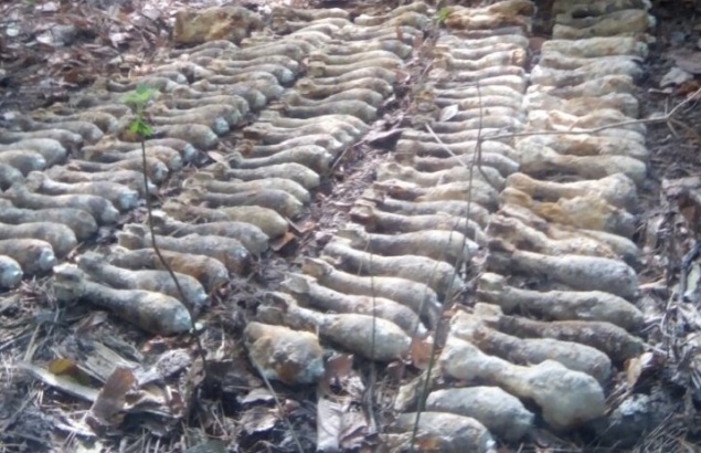 В лесополосе Киева обнаружили более 700 боеприпасов времен ВОВ (фото)