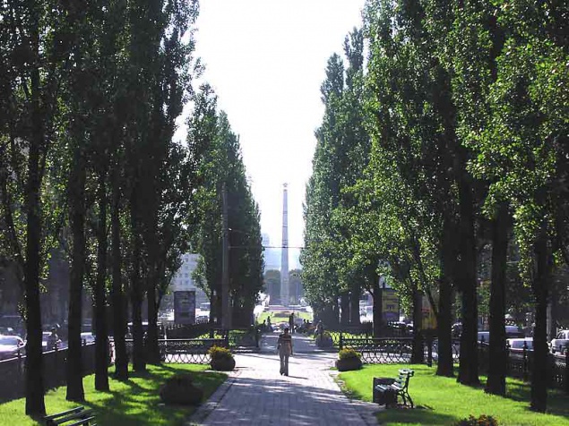 До конца года “Киевзеленстрой“ спилит 539 ”отслуживших свое” деревьев