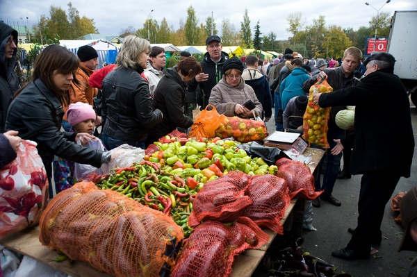 С сегодняшнего дня в Киеве проходят сельскохозяйственные ярмарки (адреса)