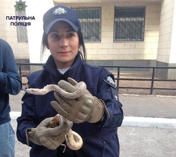 Полицейские Киева спасли арендаторов квартиры от удава (фото)