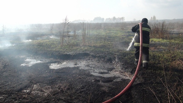 Площадь торфяных пожаров Киевщины уменьшилась до 35,5 га