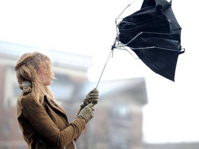 Киевлян предупреждают о сильном ветре и рекомендуют сидеть дома