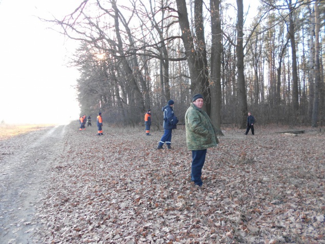 На Киевщине ищут пропавшего в лесу 74-летнего грибника