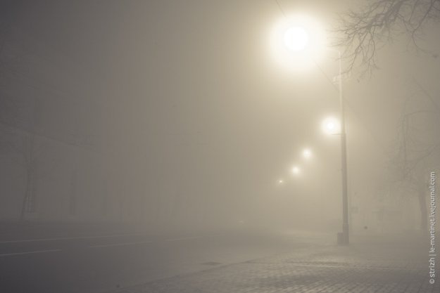 Сегодня до конца дня в Киеве туман