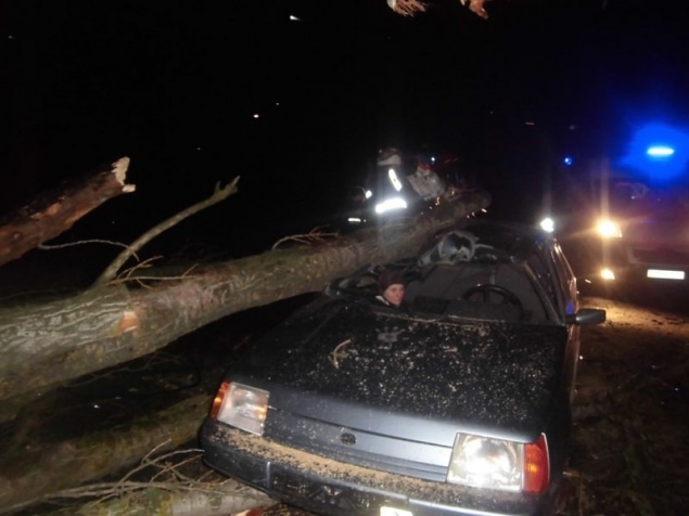 Под Киевом рухнувшее дерево заблокировало в машине трех человек (ФОТО)