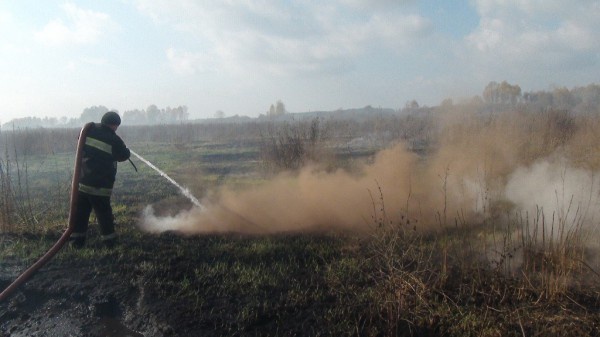В Киевской области горели торфяники