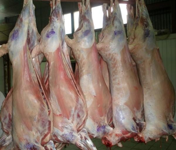 Жителям Киевщины могут продать зараженное бешенством мясо