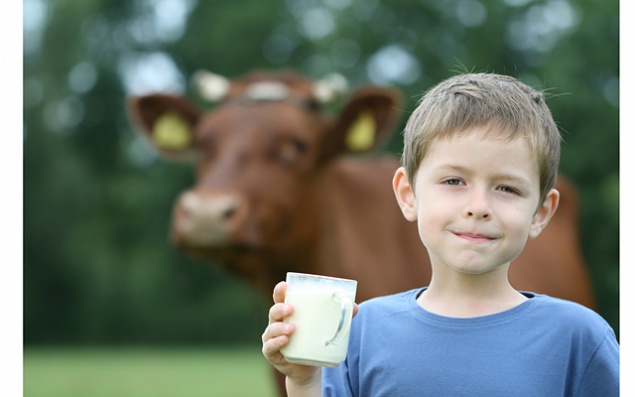 Фастовский горсовет заказал “молочку” для детей на 1 млн грн у экс-регионала
