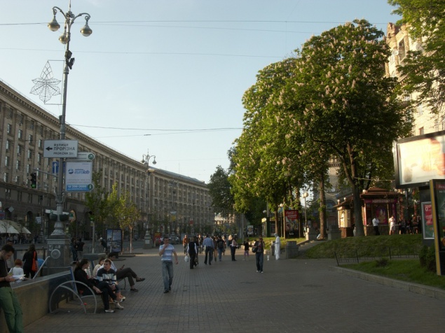 “Киевзеленстрой” планирует полечить каштаны в центре Киева