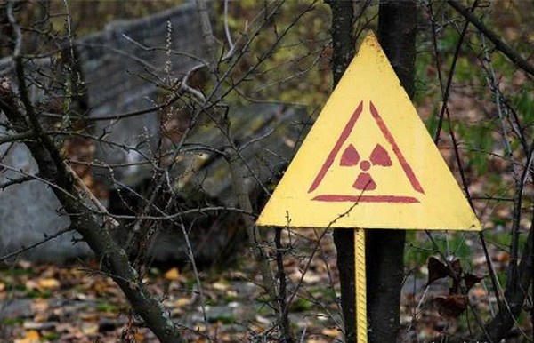 Киевляне продолжают употреблять продукты из Чернобыльской зоны