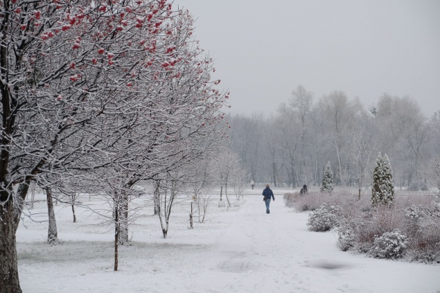 В выходные Киевщину заметет снегом