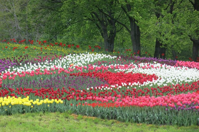 10 киевских парков, которые стоит посетить этой весной