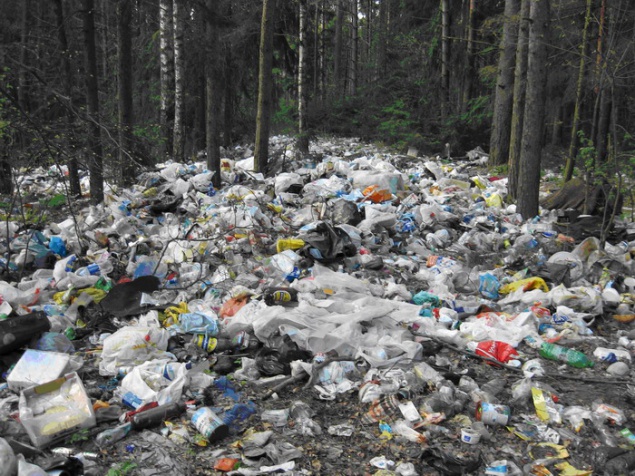 Экологическая комиссия Киевсовета поддержала петицию против полиэтиленовых пакетов