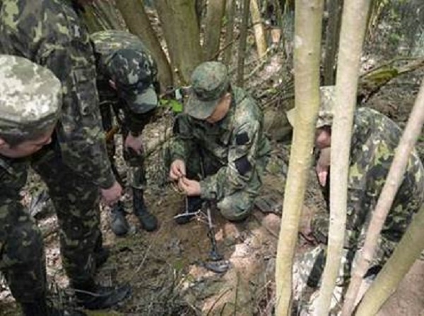 Под Киевом курсанты СБУ нашли останки солдат (фото, видео)