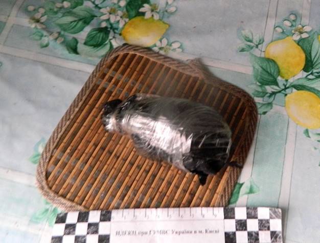 В киевской многоэтажке обнаружили гранату