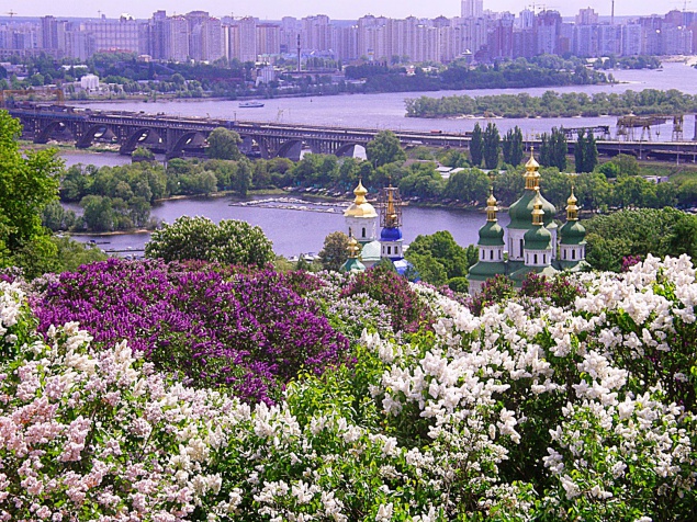 Столичный ботанический сад приглашает Киевлян на фестиваль сирени