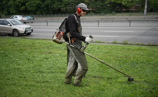 Киевских коммунальщиков хотят штрафовать за некошеные газоны