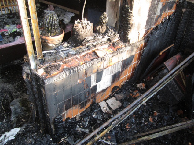 В Пасхальное воскресенье в Киевской области произошло пять пожаров (фото)