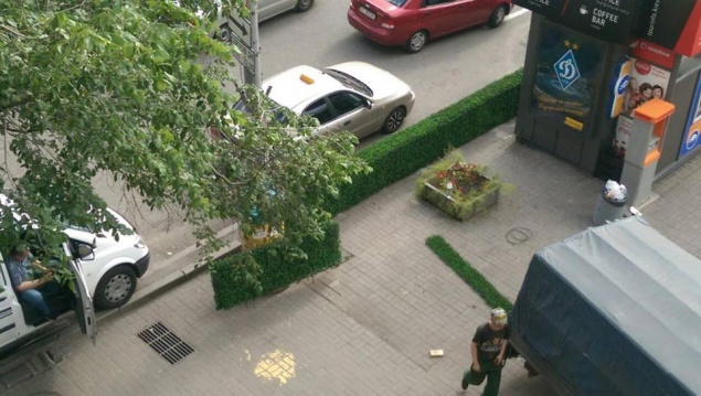 На Бессарабке в Киеве установили зеленую изгородь и собираются высадить павловнии