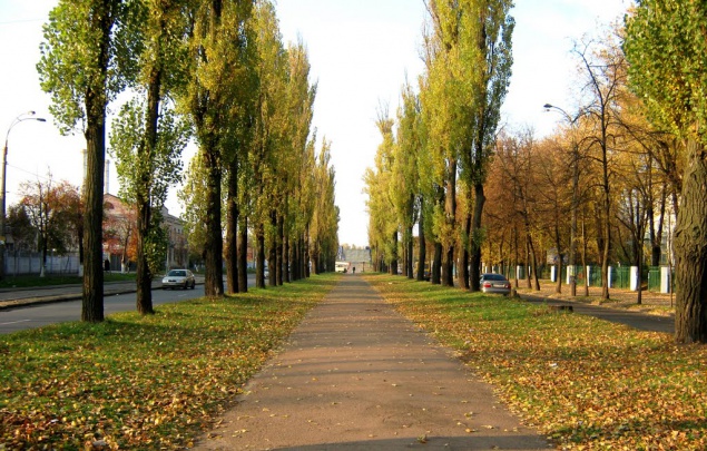 Киевляне проголосовали за переименование бульвара Лепсе в бульвар Гавела