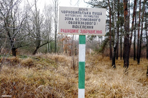 Пожар в Чернобыльской зоне: горит отдельными очагами лесная подстилка и кустарник на 15 га