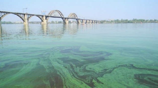 Днепровская вода: пить нельзя, купаться тоже нежелательно