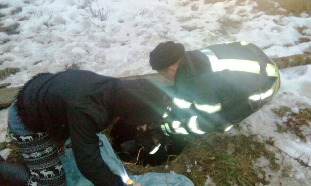 На выходных спасатели Киевщины дважды доставали из канализации собак (фото)