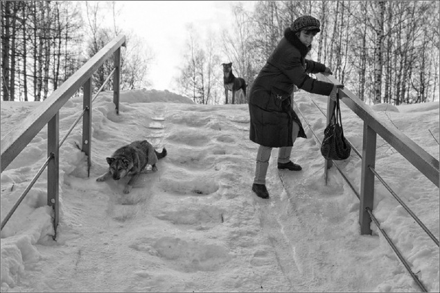 Завтра в Киеве прогнозируют жуткий гололед и налипание мокрого снега