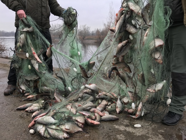 За 2 дня браконьеры под Киевом “наловили” рыбы на 240 тыс грн (фото)