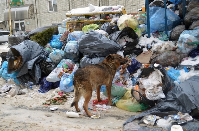 Жители улицы Дмитровской в Киеве не по своей вине утопают в мусоре