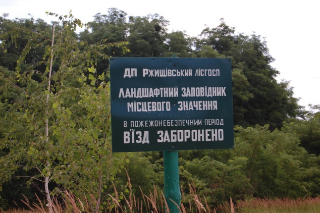Прокуратура требует вернуть гектар земли в лесу на Киевщине