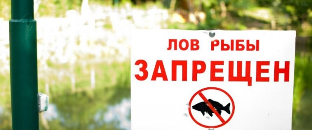 С 1 апреля запрещен вылов рыбы в связи с нерестом