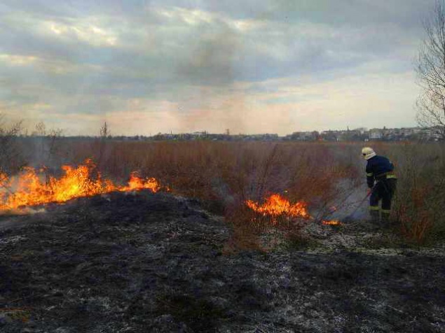 В Бородянке сгорело полгектара сухой травы