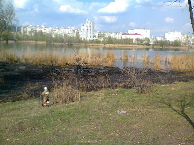 Во время пожара возле озера Лебединое в Киеве пострадал бомж