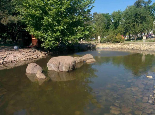 В киевском парке “Киото“ коммунальщики ”заселили” искусственный пруд