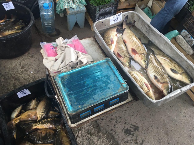 На рынках Киевщины рыбоохранный патруль обнаружил 390 кг незаконной рыбы