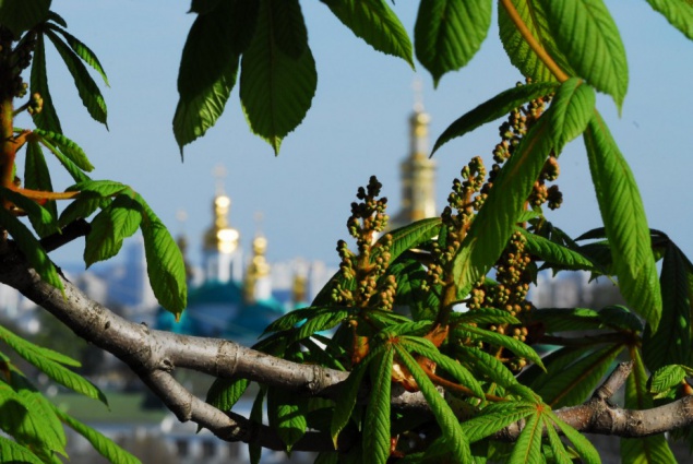 Апрель в Киеве был теплее климатической нормы