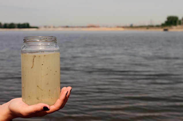 В озерах Борисполя обнаружили опасную кишечную палочку