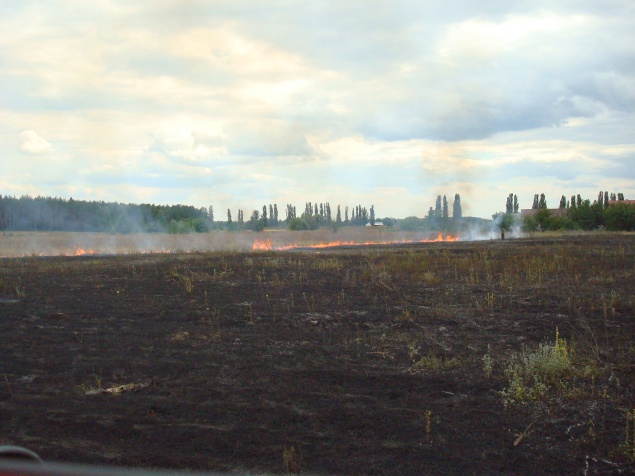 На Киевщине за выходные выгорело 30 га полей (фото)