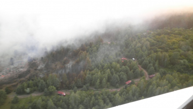 Лесной пожар в Зоне отчуждения ликвидирован - ГСЧС (фото, видео)