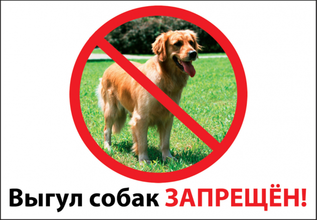 Депутаты хотят ограничить киевлянам места для выгула собак и кошек