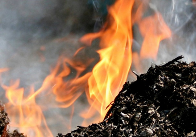 В Киеве за сутки произошло 11 возгораний мусора из-за человеческой халатности