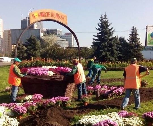 Приезжающих в Киев коммунальщики решили встретить огромной корзиной хризантем (фото)