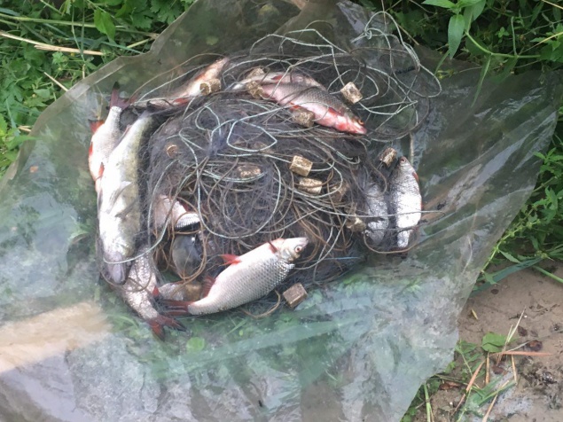За неделю браконьеры нанесли ущерб рыбному хозяйству Киевщины на 40 тыс. грн (фото)