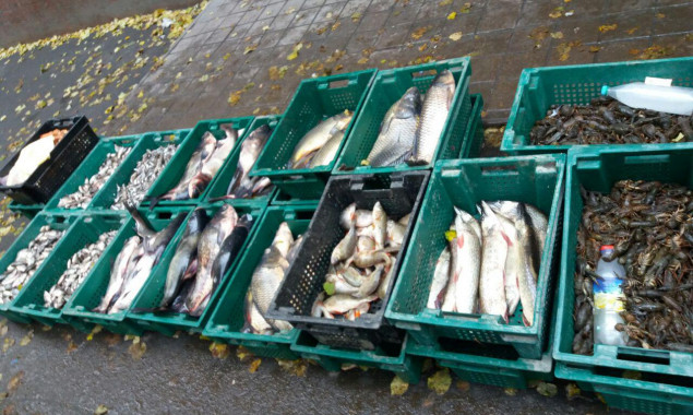 За 20 дней на Киевщине браконьеры наловили рыбы на 56 тыс грн.