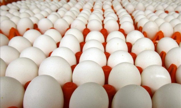 Из птицефабрики на Киевщине украли яиц на 800 тысяч гривен